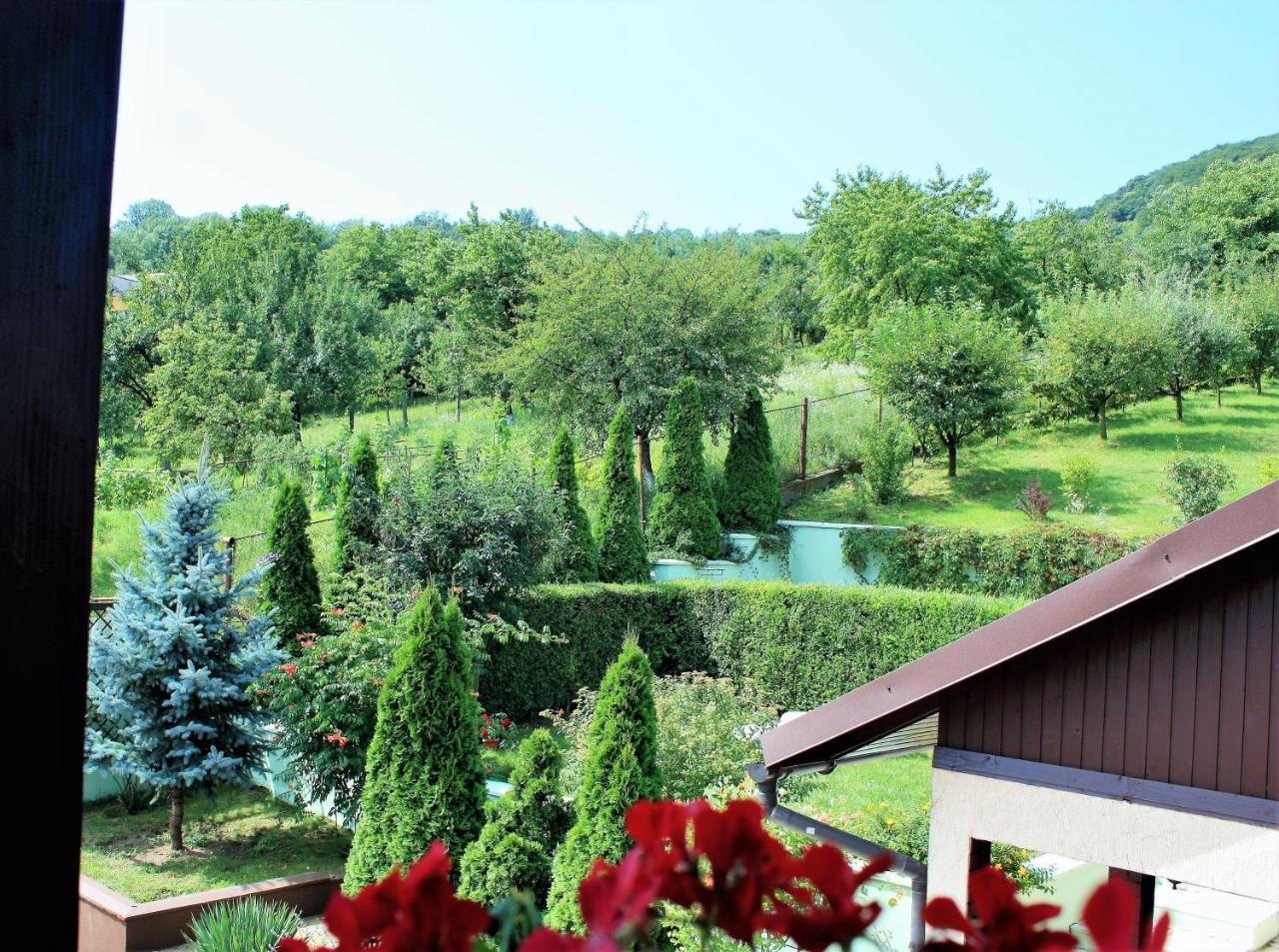 Silva House Hotel Deva Buitenkant foto